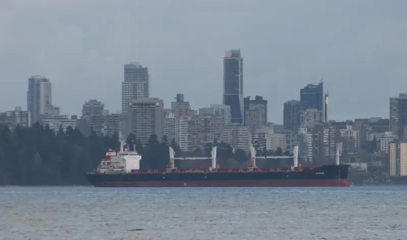 ATHOS Bulk Carrier IMO 9408293 photo 4