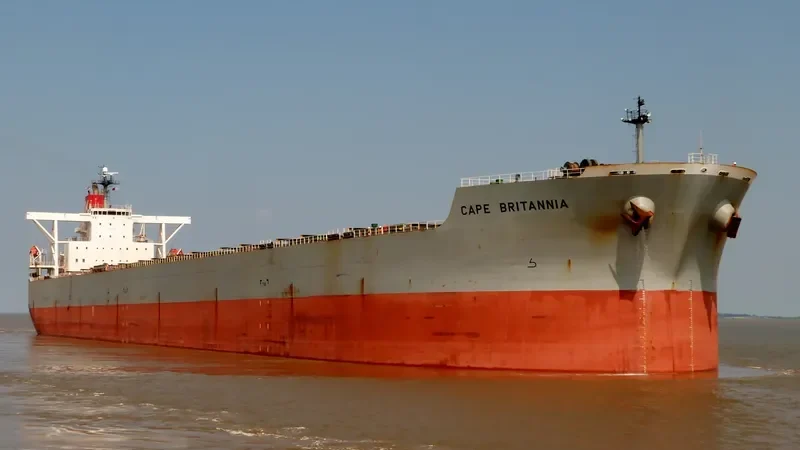 CAPE BRITANNIA Bulk Carrier IMO 9409065 photo 4