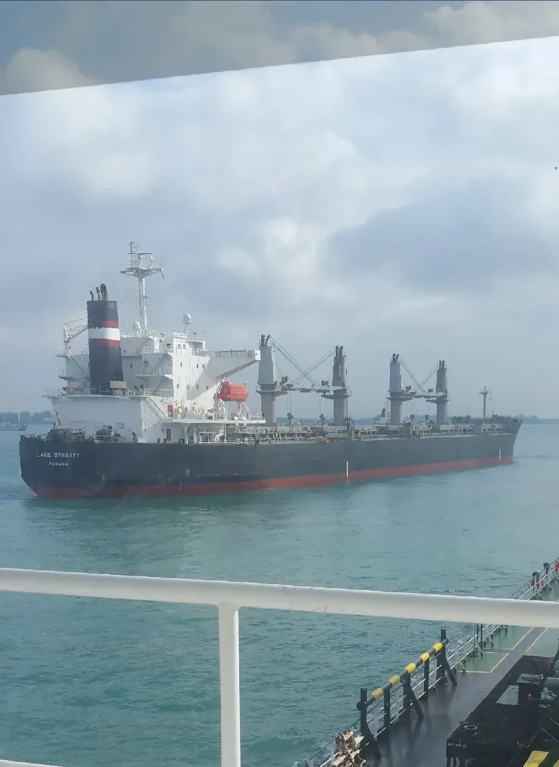 EMELDA Bulk Carrier IMO 9409089 photo 6