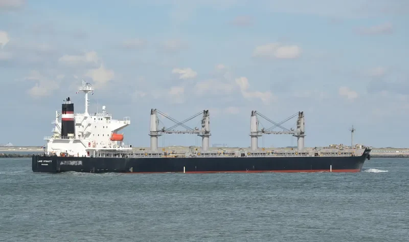 EMELDA Bulk Carrier IMO 9409089 photo 7