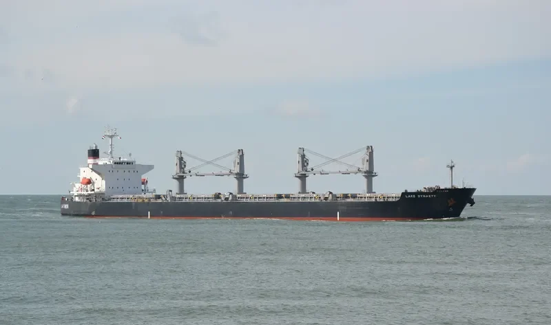EMELDA Bulk Carrier IMO 9409089 photo 8