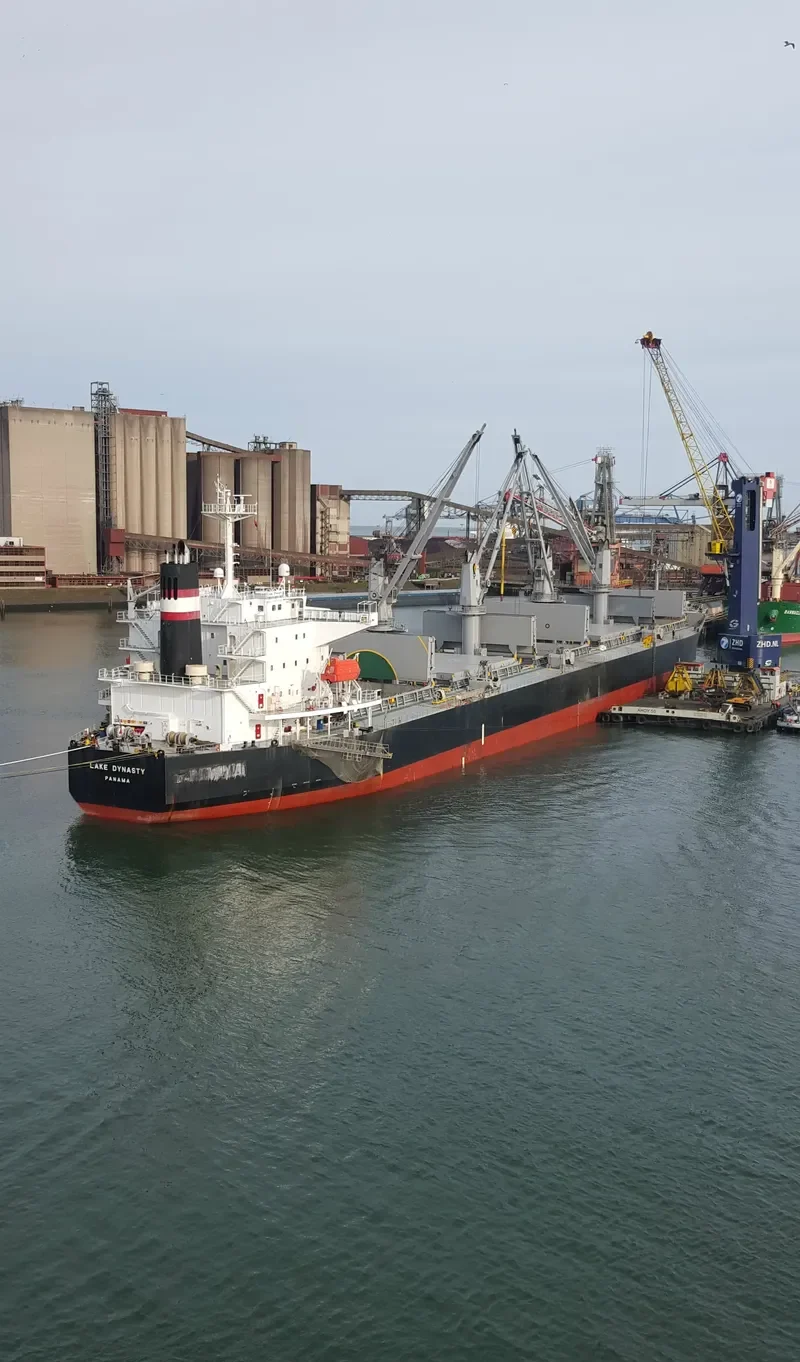 EMELDA Bulk Carrier IMO 9409089 photo 9