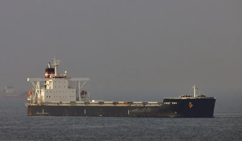 MOUNT AUSTIN Bulk Carrier IMO 9409118