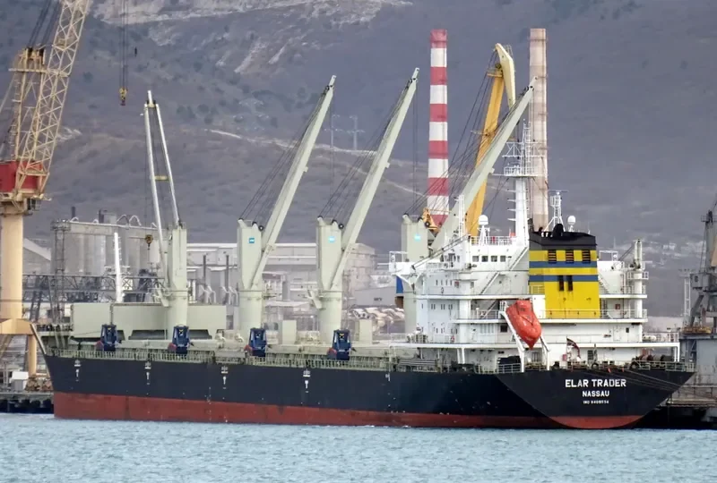 ELAR TRADER Bulk Carrier IMO 9409534 photo 5