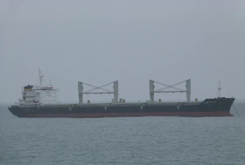 ELAR TRADER Bulk Carrier IMO 9409534 photo 9