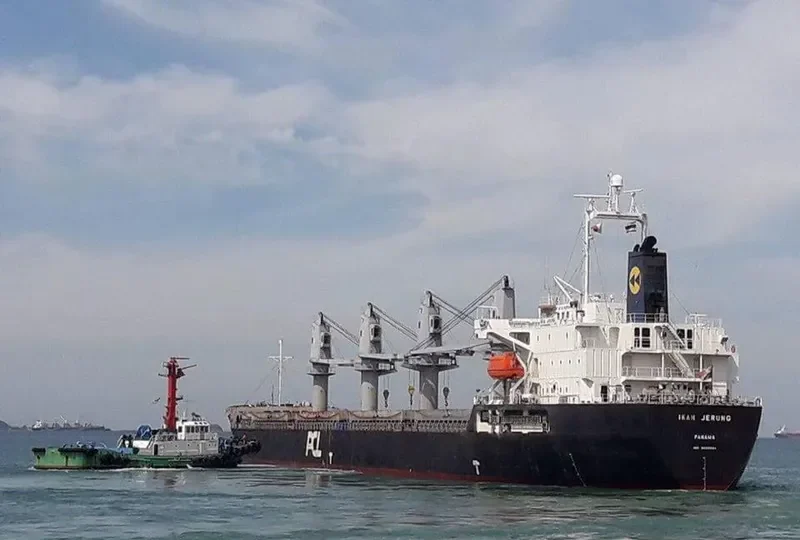 COURAGE Bulk Carrier IMO 9409584 photo 4