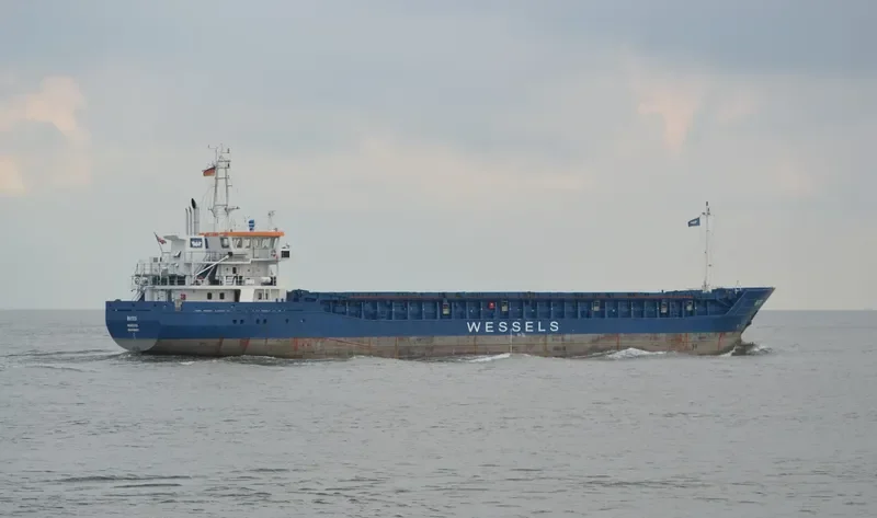 WILSON DIRDAL General Cargo IMO 9409637 photo 2