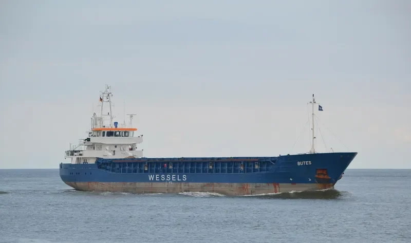 WILSON DIRDAL General Cargo IMO 9409637 photo 3