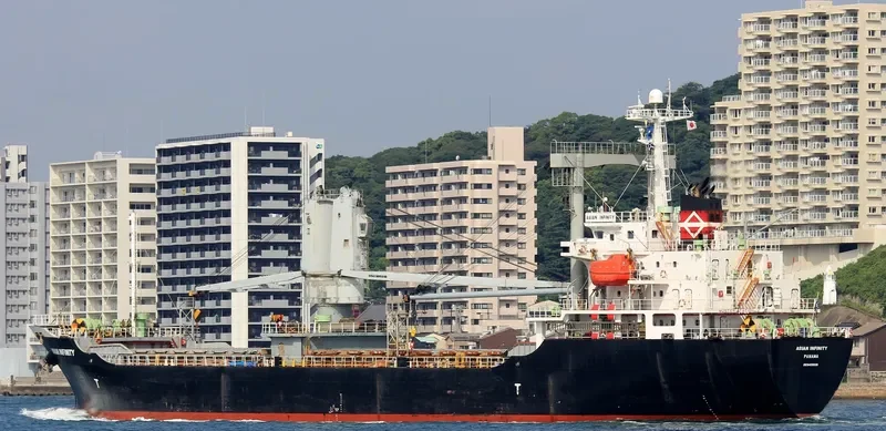 ASIAN INFINITY General Cargo IMO 9409699 photo 2