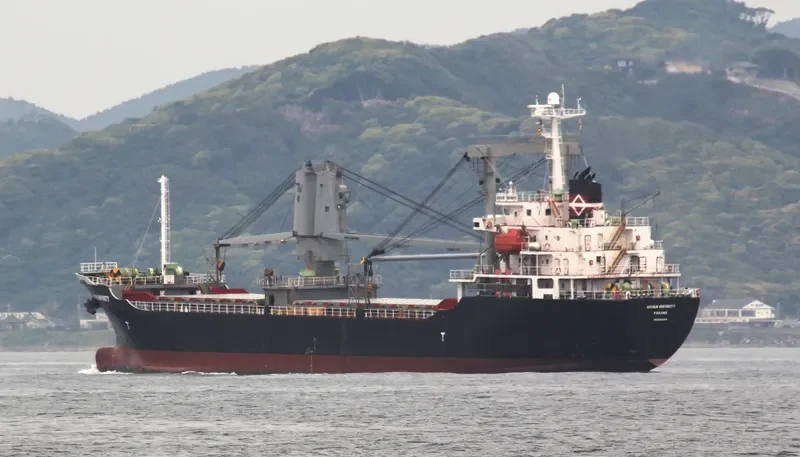 ASIAN INFINITY General Cargo IMO 9409699 photo 6