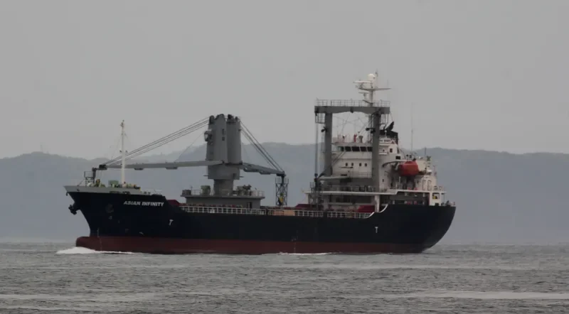 ASIAN INFINITY General Cargo IMO 9409699 photo 8