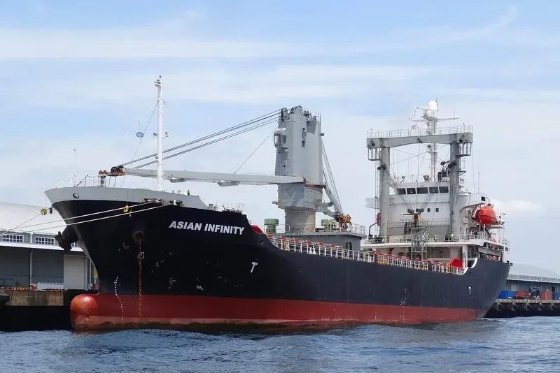 ASIAN INFINITY General Cargo IMO 9409699 photo 9