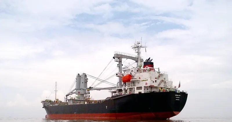 ASIAN JOY General Cargo IMO 9409704 photo 4