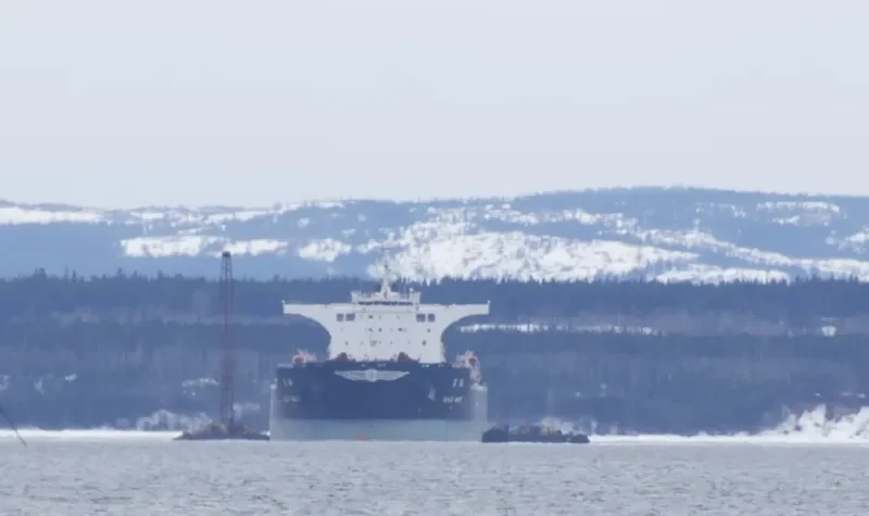 BAO MAY Bulk Carrier IMO 9410155 photo 2
