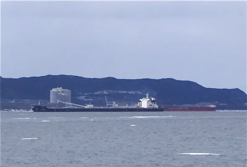 BAO MAY Bulk Carrier IMO 9410155 photo 3