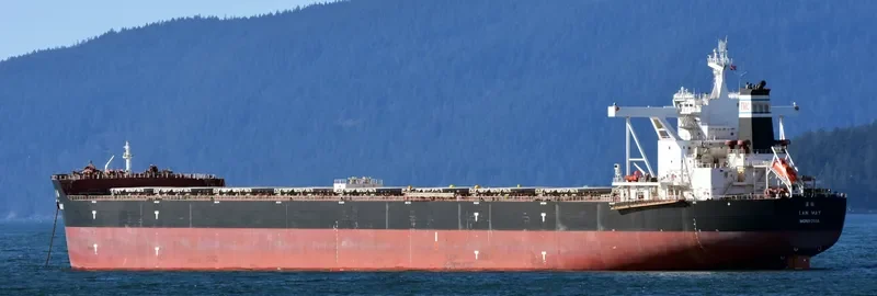 LAN MAY Bulk Carrier IMO 9410167