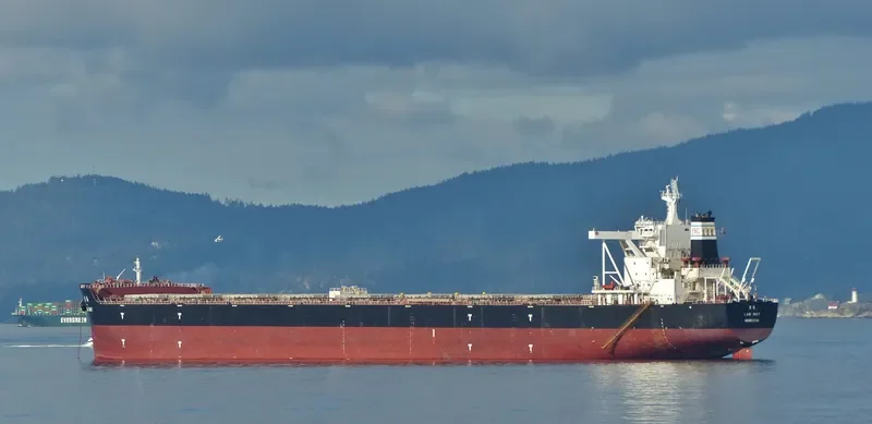 LAN MAY Bulk Carrier IMO 9410167 photo 2
