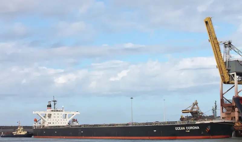 OCEAN CORONA Bulk Carrier IMO 9410404 photo 3