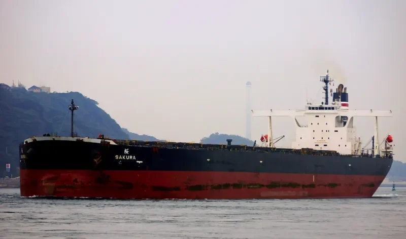 WINNING RESILIENCE Bulk Carrier IMO 9410430 photo 6