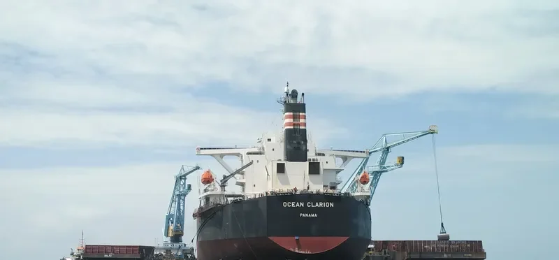 OCEAN CLARION Bulk Carrier IMO 9410454 photo 4