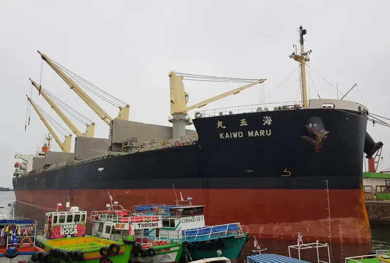 KAIWO MARU Bulk Carrier IMO 9410595 photo 8