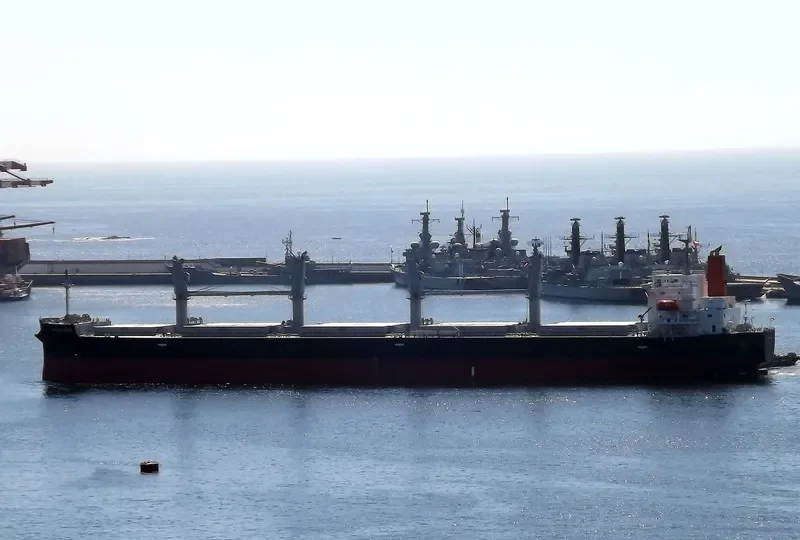 BELLE ROSE Bulk Carrier IMO 9410600