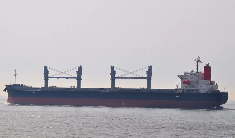 BELLE ROSE Bulk Carrier IMO 9410600 photo 5