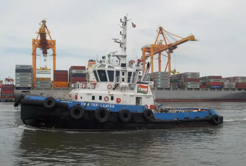 TMM TEPALCATES General Cargo IMO 9410698 photo 4