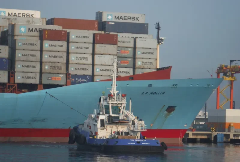 TMM TEPALCATES General Cargo IMO 9410698 photo 5