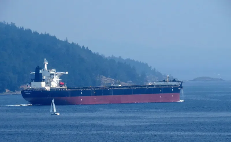 GENCO TITUS Bulk Carrier IMO 9410959 photo 2