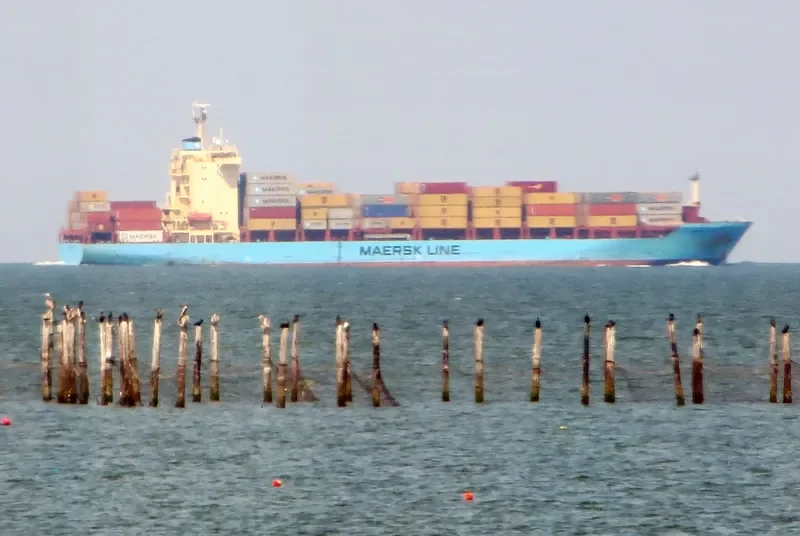 MAERSK VARNA Container Ship IMO 9411379 photo 2