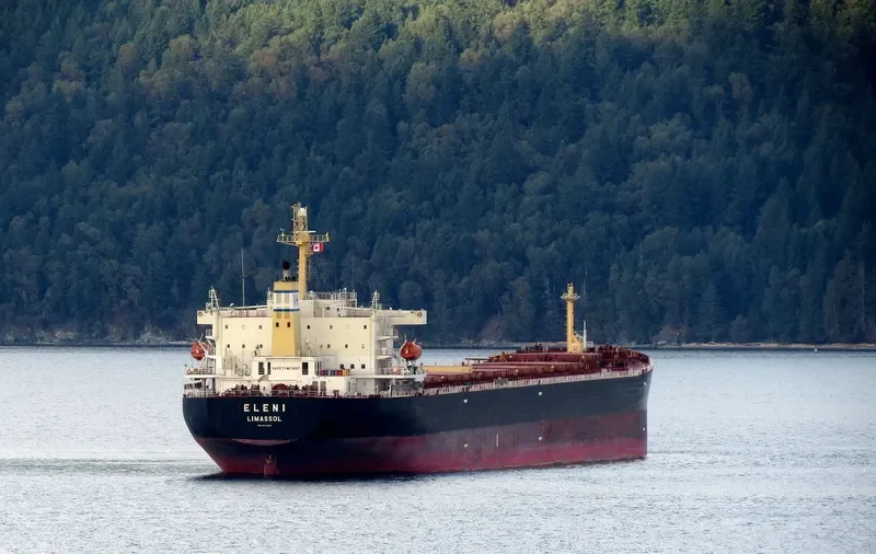 ELENI Bulk Carrier IMO 9411525 photo 10