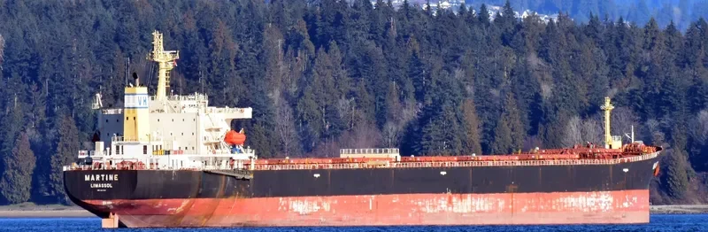 MARTINE Bulk Carrier IMO 9411537 photo 5