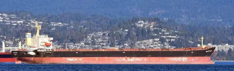 MARTINE Bulk Carrier IMO 9411537 photo 6