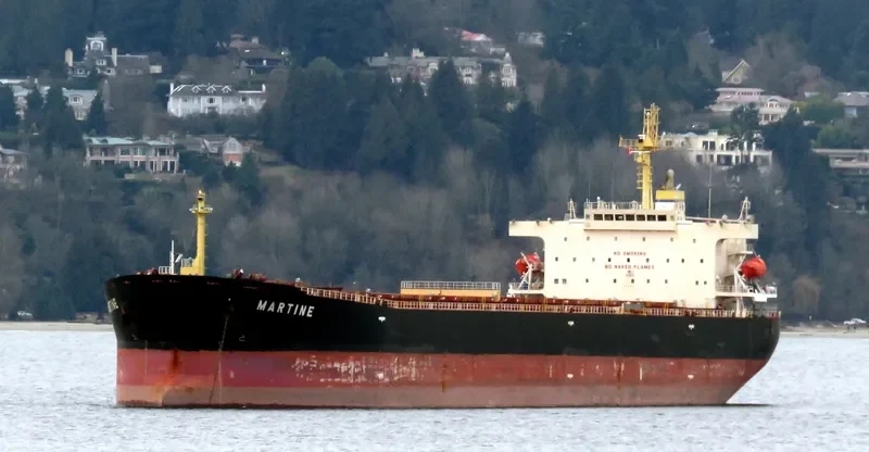 MARTINE Bulk Carrier IMO 9411537 photo 7