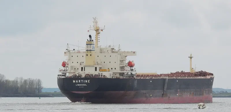 MARTINE Bulk Carrier IMO 9411537 photo 8