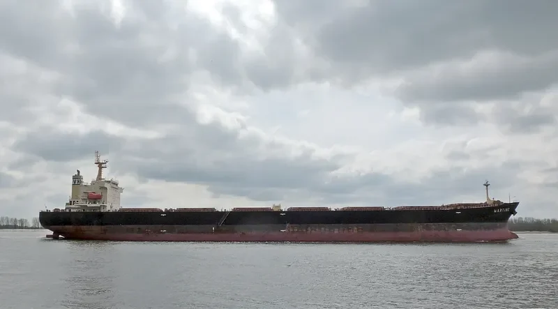 MARTINE Bulk Carrier IMO 9411537 photo 9