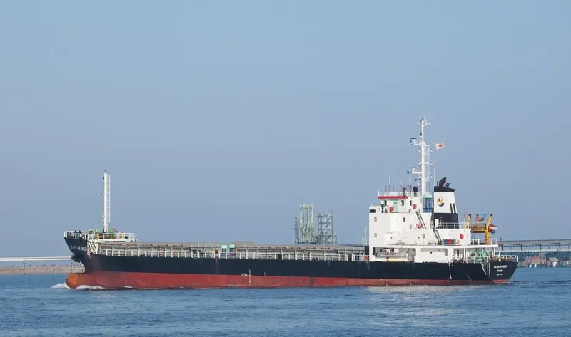 GOLDEN RAINBOW General Cargo IMO 9411977 photo 7