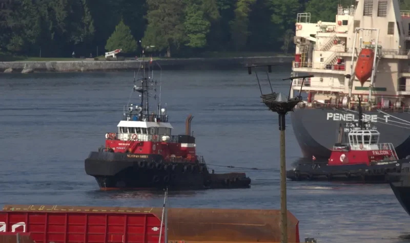 SEASPAN RAIDER General Cargo IMO 9412115 photo 5