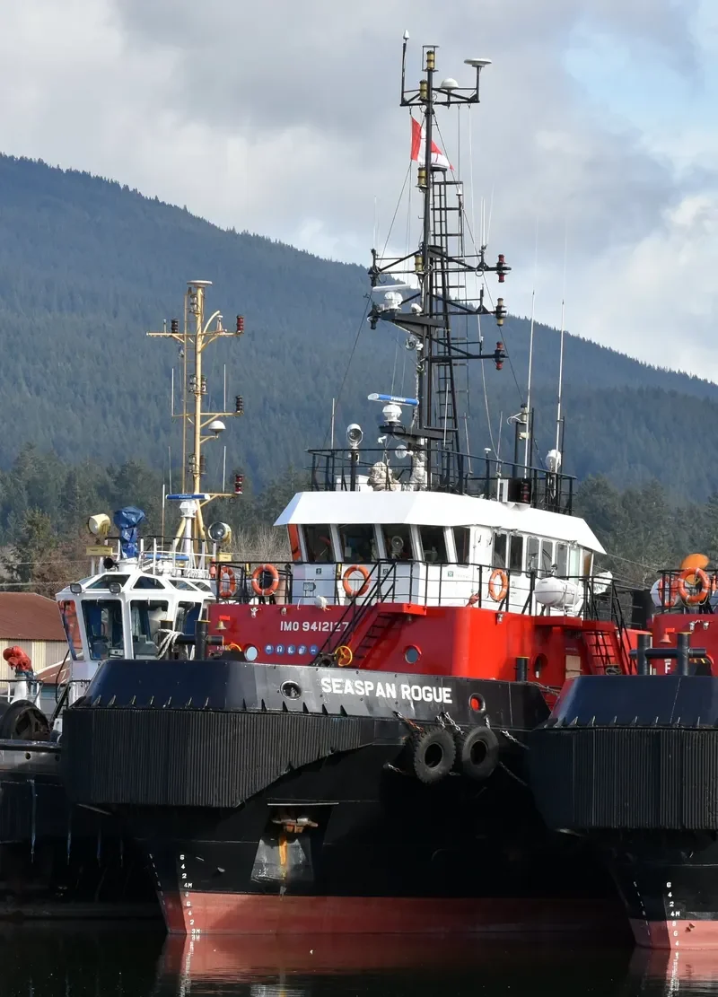 SEASPAN ROGUE General Cargo IMO 9412127 photo 5
