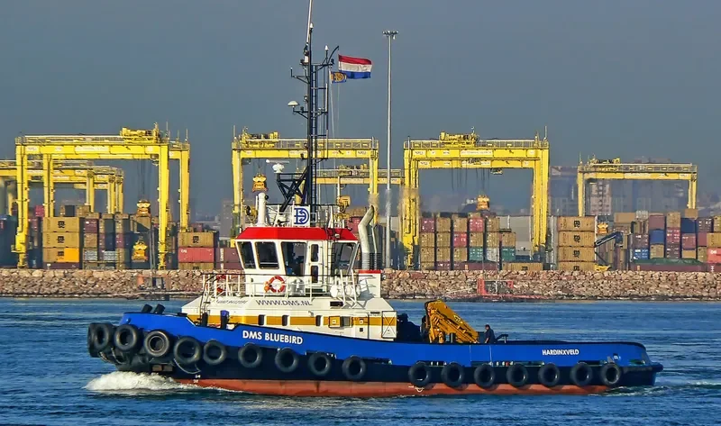 BUCURESTI General Cargo IMO 9412191