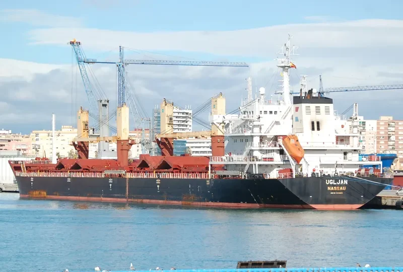 UGLJAN Bulk Carrier IMO 9412294 photo 3