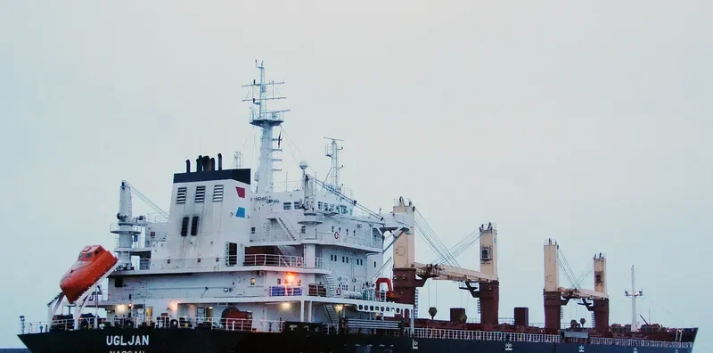 UGLJAN Bulk Carrier IMO 9412294 photo 8