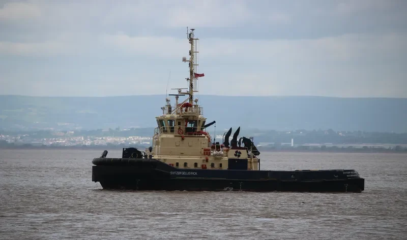 SVITZER GELLISWICK General Cargo IMO 9412373 photo 8