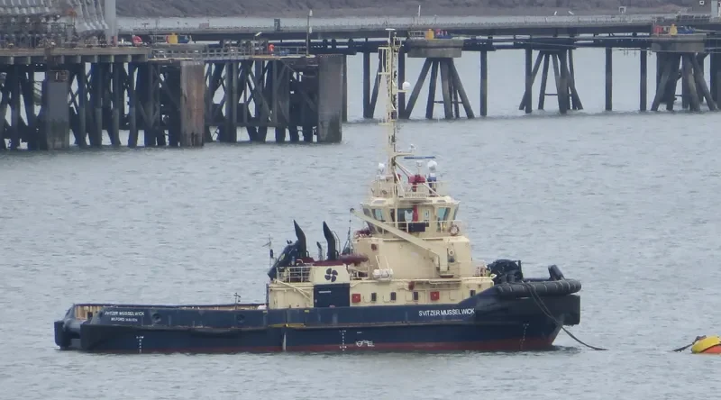 SVITZER MUSSELWICK General Cargo IMO 9412385