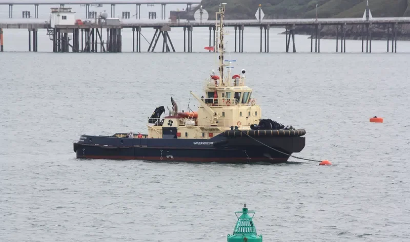 SVITZER MUSSELWICK General Cargo IMO 9412385 photo 5