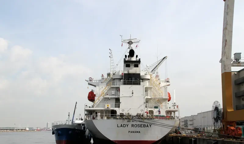 LADY ROSEBAY General Cargo IMO 9412751 photo 3