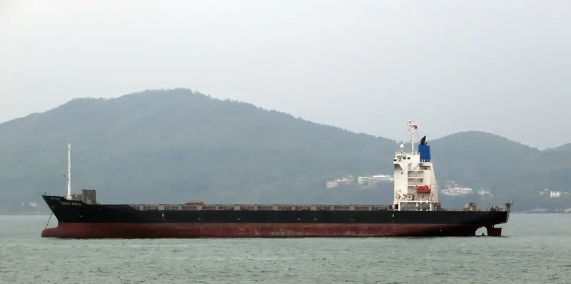 WHITE DRAGON Container Ship IMO 9412816 photo 10