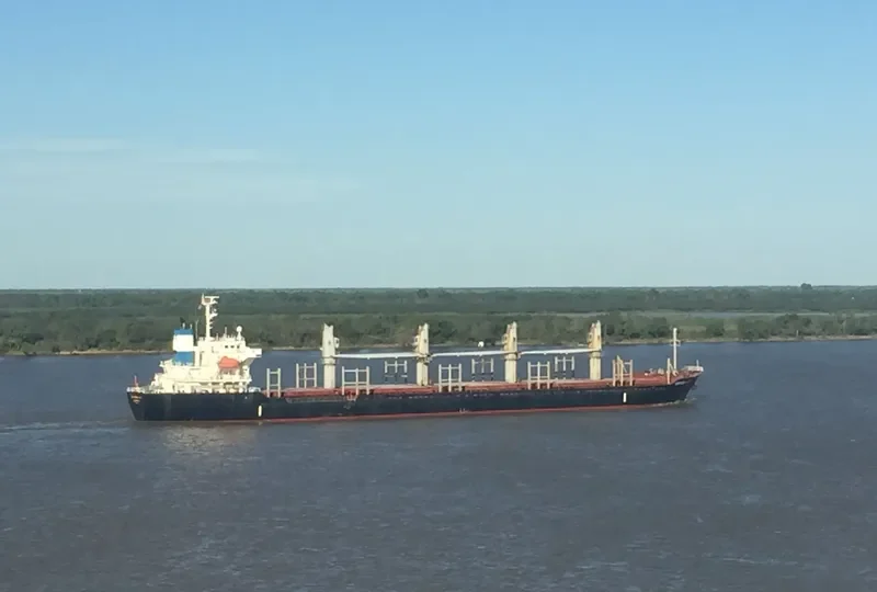 PARANA WARRIOR Bulk Carrier IMO 9412945
