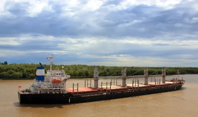 PARANA WARRIOR Bulk Carrier IMO 9412945 photo 5